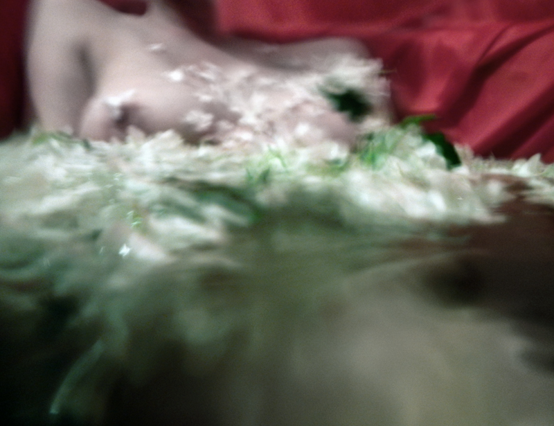 Renata Vogl flower bath